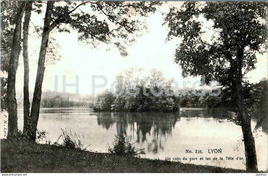Lyon - Un coin du parc et lac de la Tete d'or - park - lake - 116 - old postcard - 1904 - France - used - JH Postcards