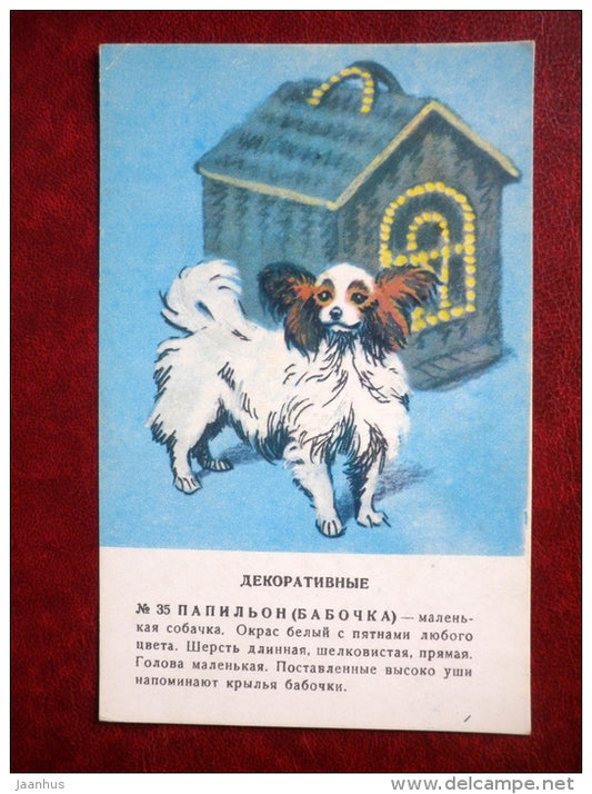 Papillon - dogs - Russia USSR - unused - JH Postcards
