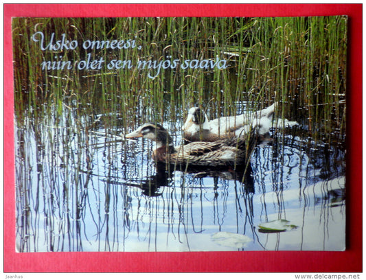 duck - lake - 5336/4 - Finland - circulated in Finland - JH Postcards