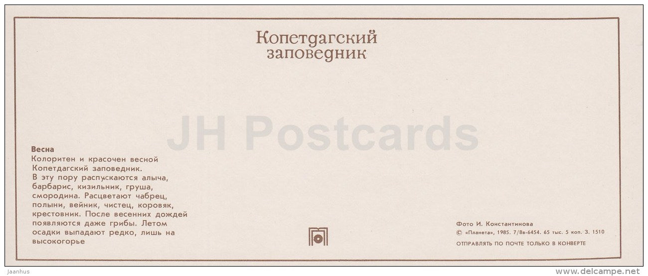 flowers - mushroom - Spring - Kopet Dagh Nature Reserve - 1985 - Turkmenistan USSR - unused - JH Postcards