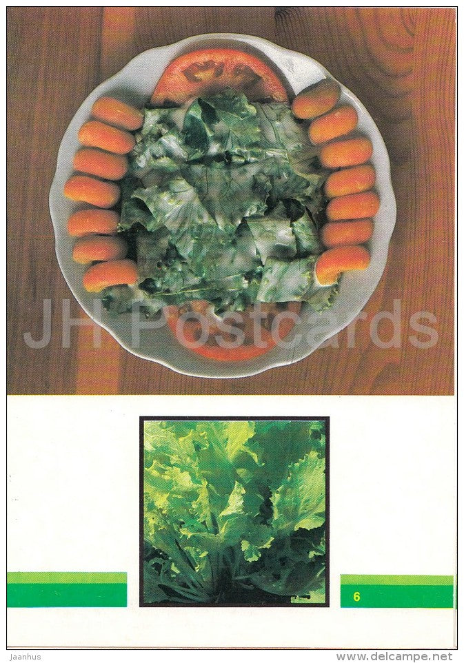Napa cabbage salad - Vegetable Dishes - recipes - 1990 - Russia USSR - unused - JH Postcards