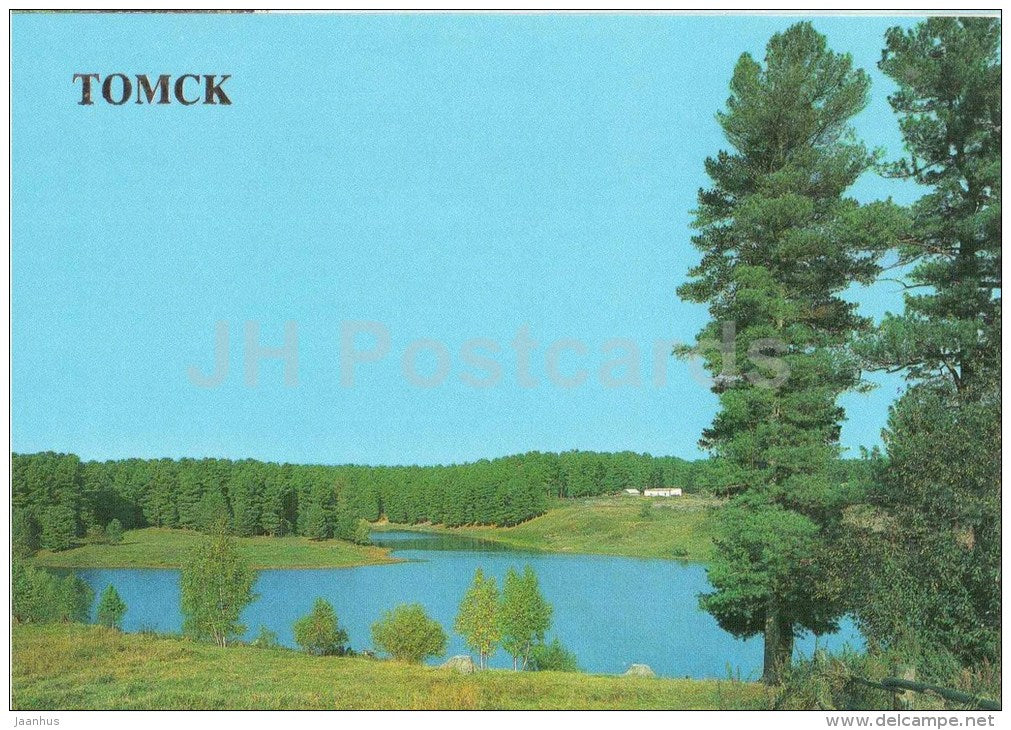 nature near the city - Tomsk - 1987 - Russia USSR - unused - JH Postcards