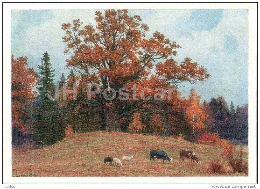 painting by B. Shcherbakov - Oak secluded - cow - Pushkin Reserve - 1972 - Russia USSR - unused - JH Postcards