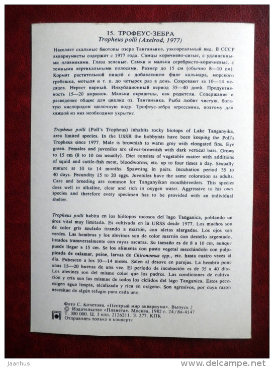 Tropheus polli - aquarium fishes - 1982 - Russia USSR - unused - JH Postcards