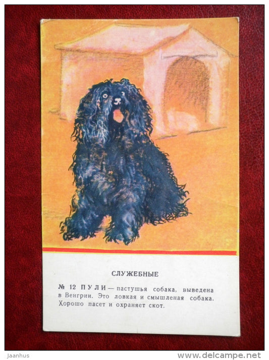 Puli - dogs - Russia USSR - unused - JH Postcards