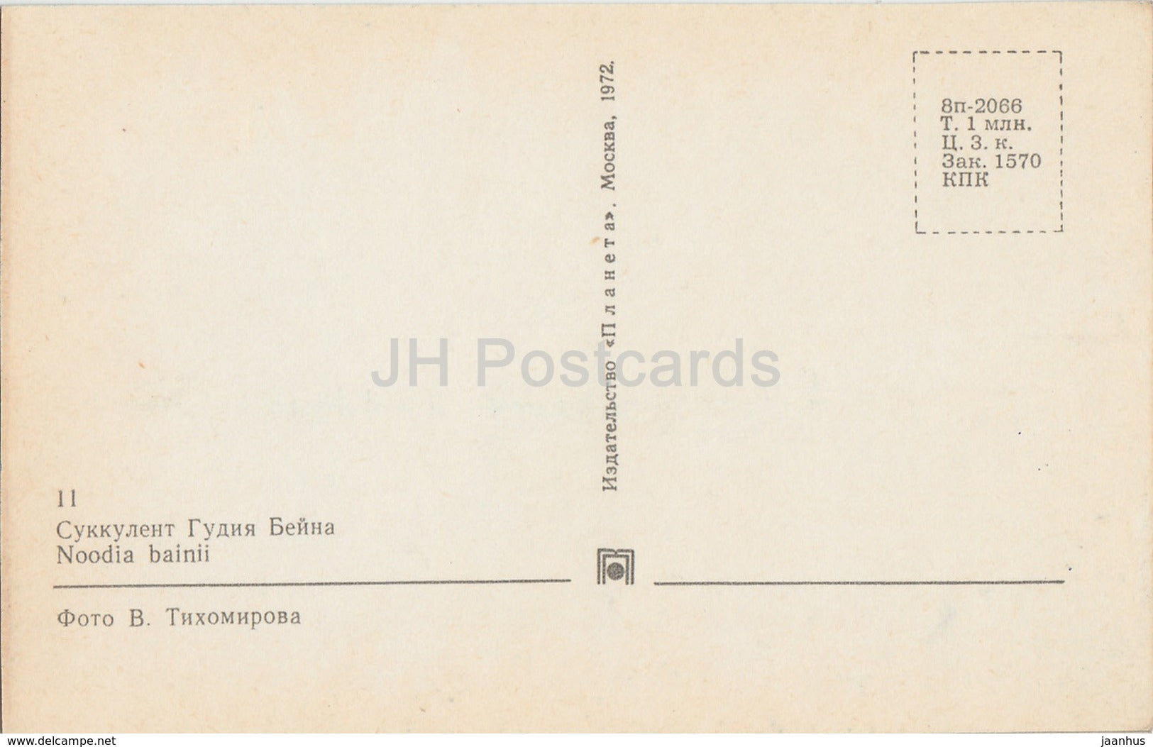 Green Desert Plant Cactus - Noodia Bainii - Cactus - Flowers - 1972 - Russia USSR - unused - JH Postcards