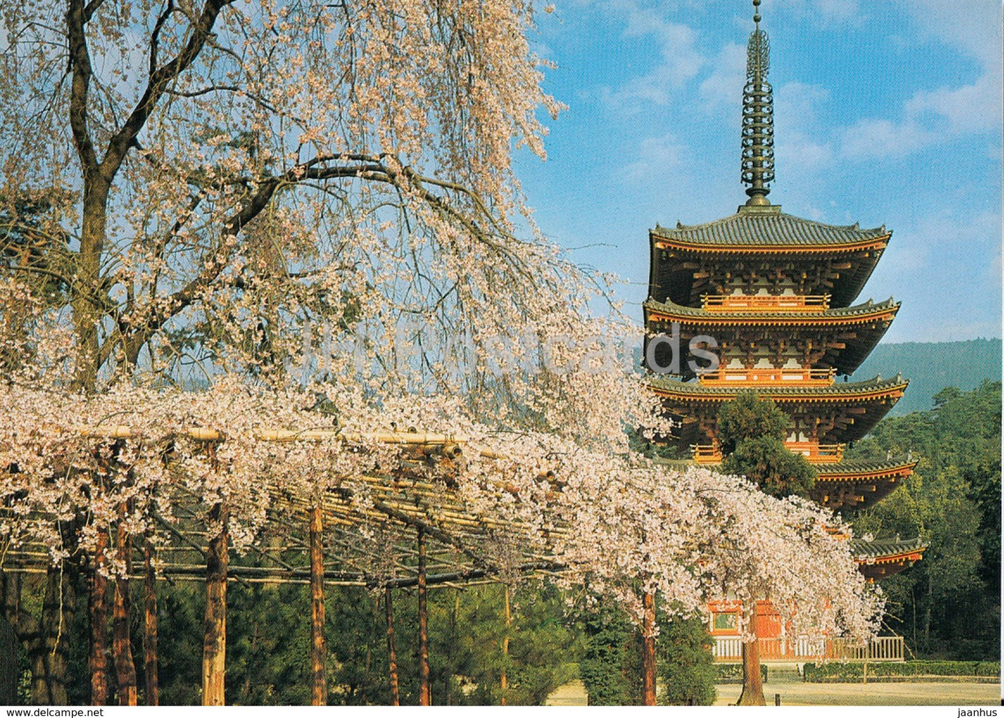 Kyoto - Daigo Temple in Cherry - Japan - unused - JH Postcards