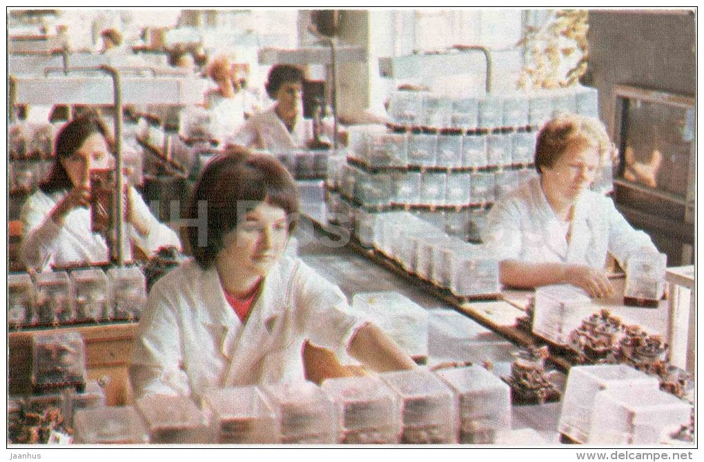 Electrical Equipment Plant - women workers - Cheboksary - Chuvashia - 1973 - Russia USSR - unused - JH Postcards