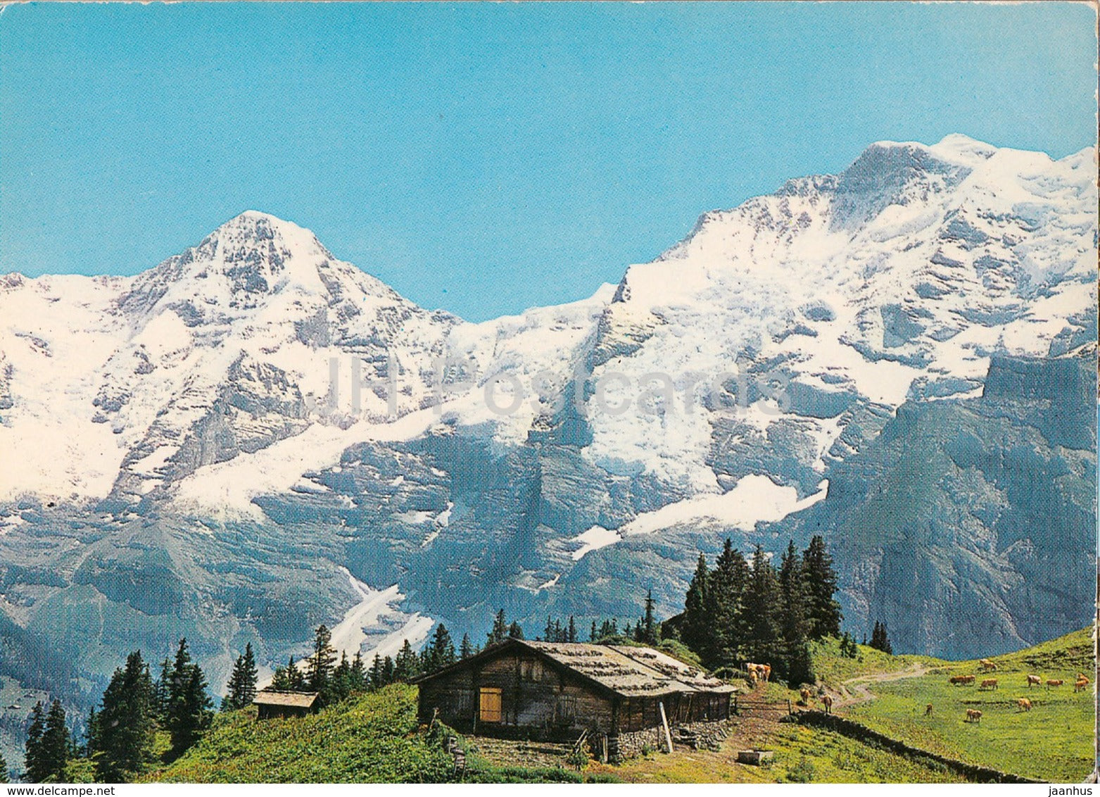 Berner Oberland - Murren Oberberg - Monch - Jungfrau - 1983 - Switzerland - used - JH Postcards