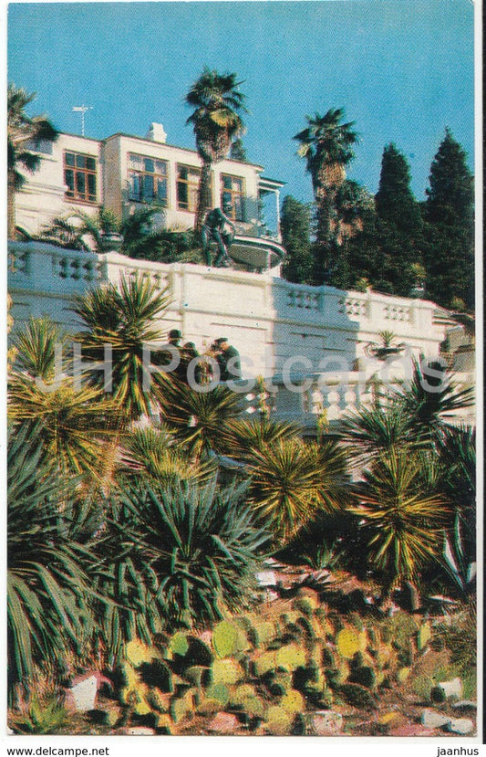 Sochi - Dendrarium - The Mexican Corner - 1971 - Russia USSR - unused - JH Postcards