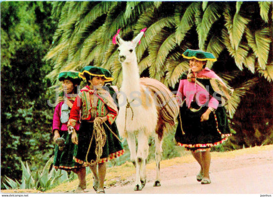 Natives with their Llama - Cusco Peru - animals - 1993 - Peru - used - JH Postcards