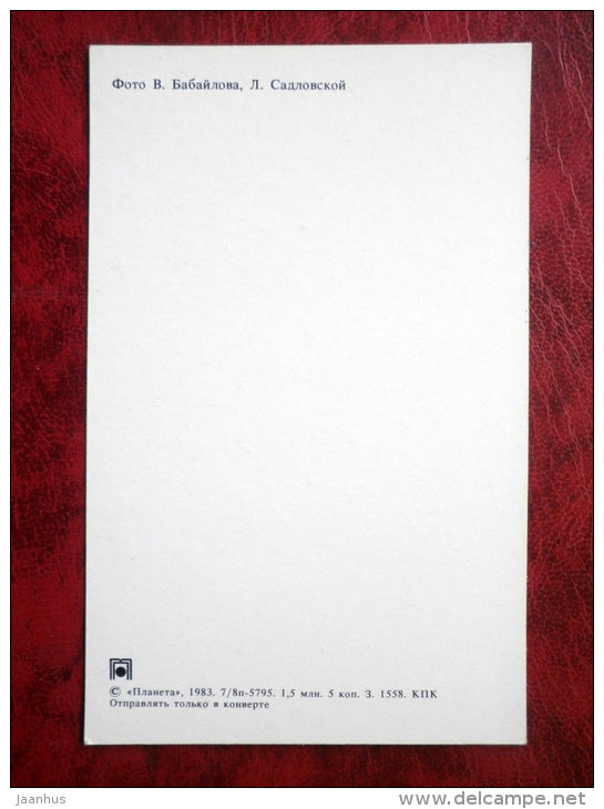 birthday greeting card - Gladiolus - flowers - 1983 - Russia - USSR - unused - JH Postcards