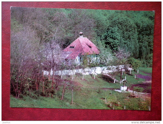 In Kodry - Moldavian Woods - 1975 - Moldova USSR - unused - JH Postcards