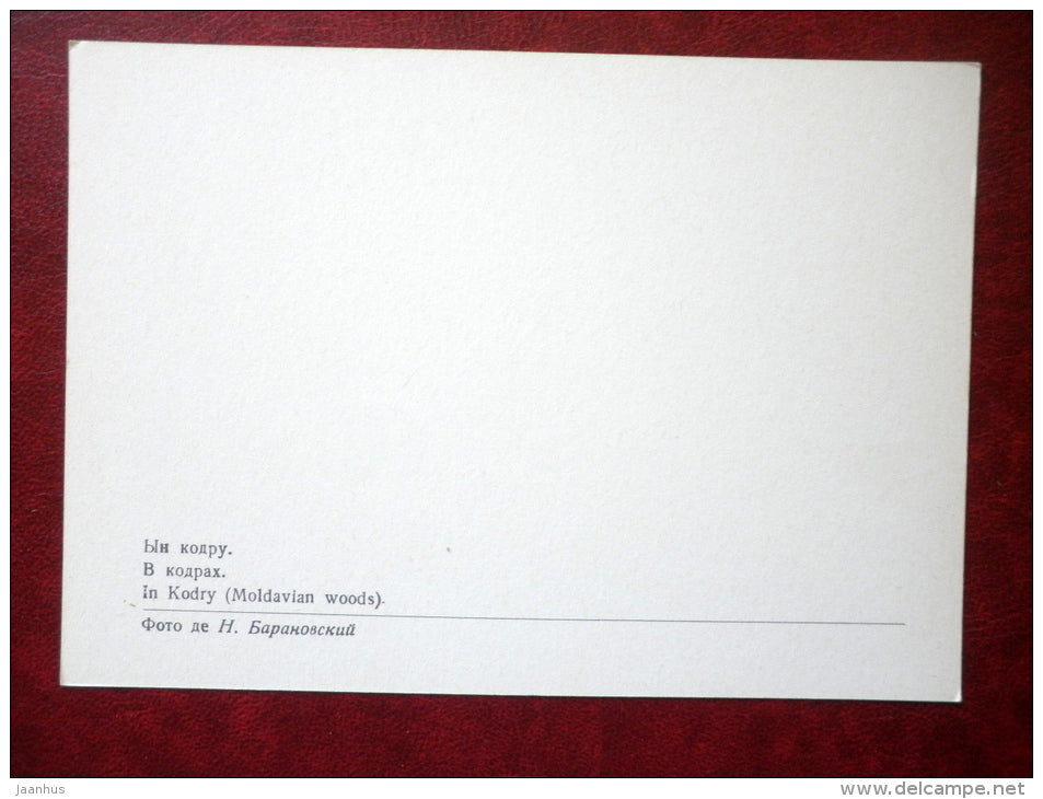 In Kodry - Moldavian Woods - 1975 - Moldova USSR - unused - JH Postcards