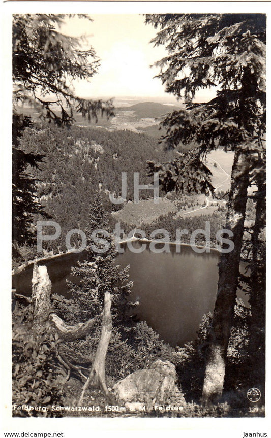 Feldberg Schwarzwald - 1500 m - Feldsee - 339 - old postcard - Germany - used - JH Postcards