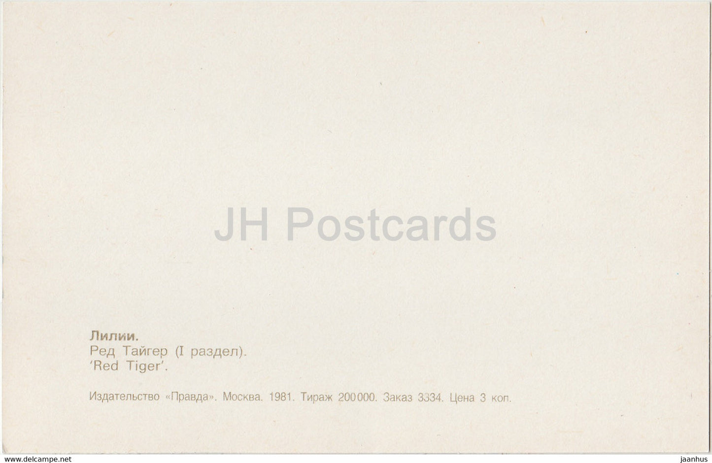 Red Tiger - lily - flowers - 1981 - Russia USSR - unused