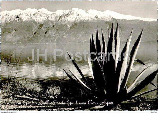 Lago di Garda - Dalla Strada Gardesana Occ. Agave - 02356 - old postcard - 1957 - Italy - used - JH Postcards