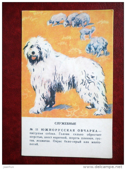 South Russian Ovcharka - dogs - Russia USSR - unused - JH Postcards