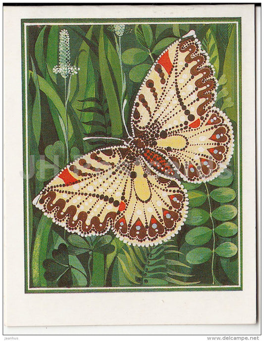 illustration by M. Velichkina - butterfly - 1989 - Russia USSR - unused - JH Postcards