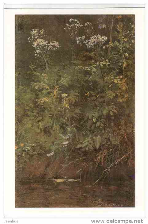 painting by I. I. Shishkin - Wildflowers on the Water , etude - russian art - unused - JH Postcards