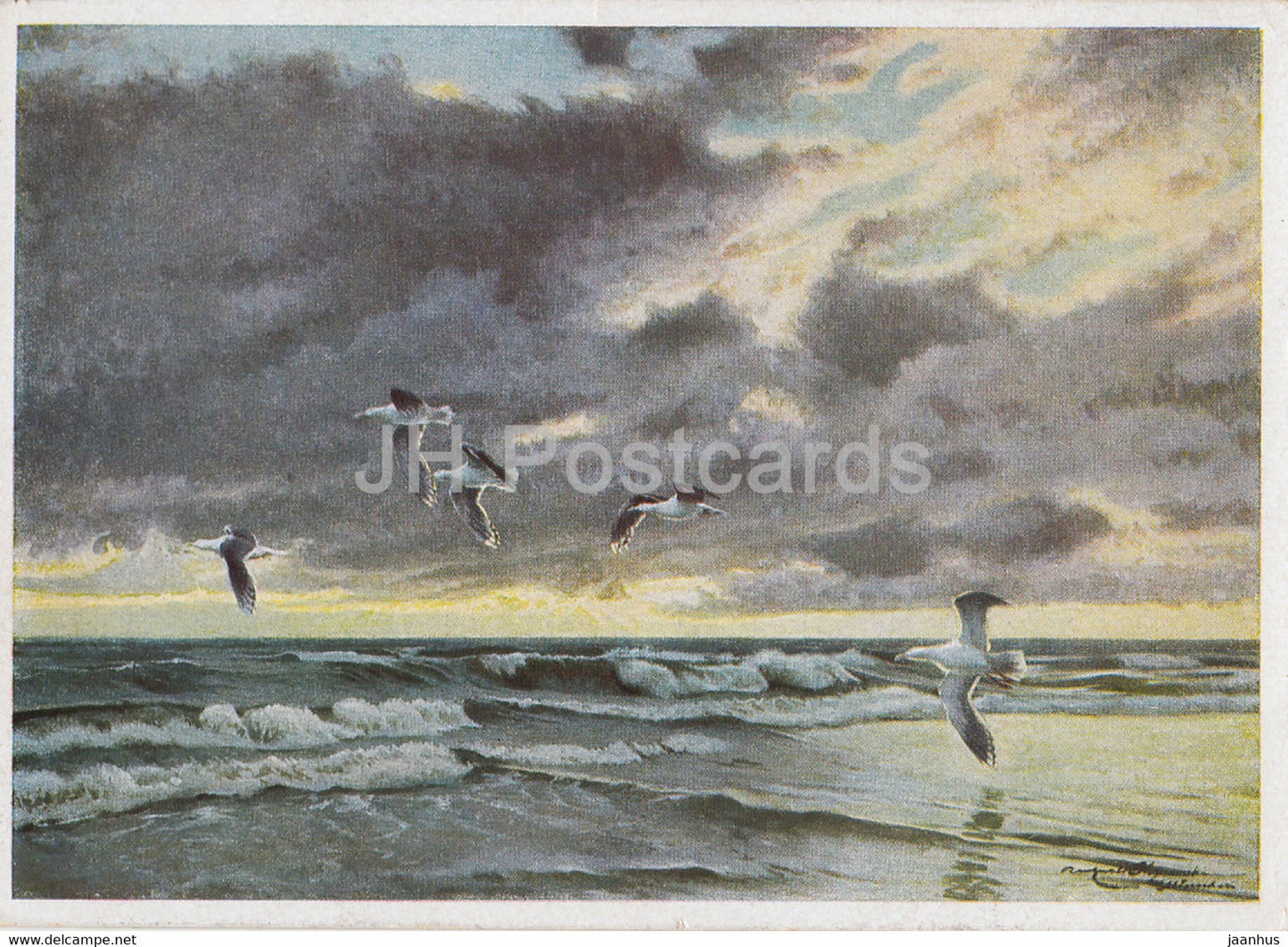 painting by Karl Ewald Olszewski - Mantelmoven nach dem Gewitter - gull - birds - German art - Germany - unused - JH Postcards