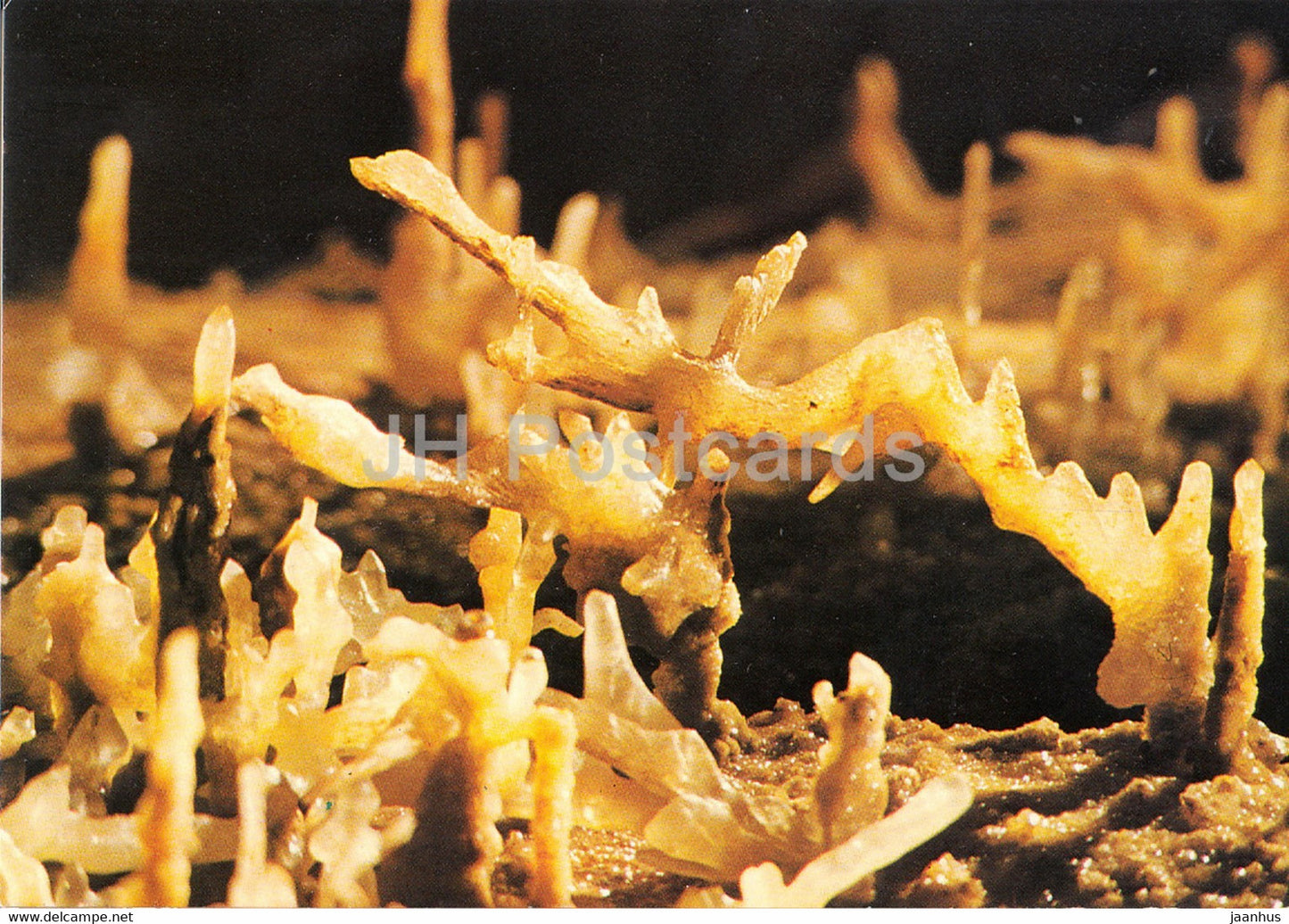 En Quercy - Les Grottes de Lacave - France - unused - JH Postcards