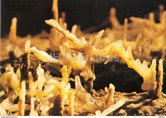 En Quercy - Les Grottes de Lacave - France - unused - JH Postcards