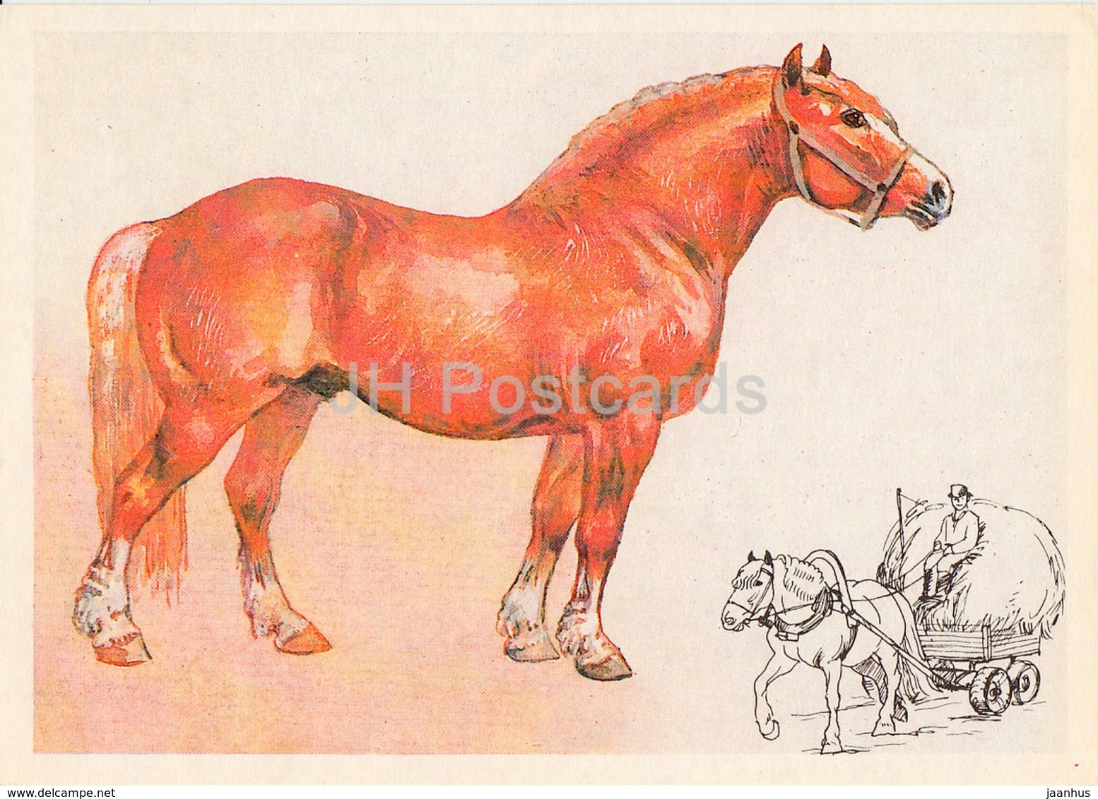 The Soviet Heavy Draft Horse - illustration by A. Glukharev - horses - animals - 1988 - Russia USSR - unused - JH Postcards
