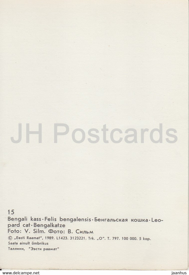 Leopard cat - Felis bengalensis - Tallinn Zoo - 1989 - Estonia USSR - unused