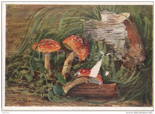painting by B. Yakovlev - Mushrooms - amanita - fly-agaric - russian art - unused - JH Postcards
