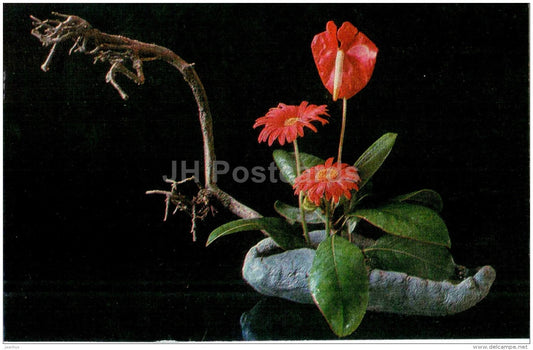 Anthurium - laceleaf - ikebana - composition - flowers - 1971 - Latvia USSR - unused - JH Postcards
