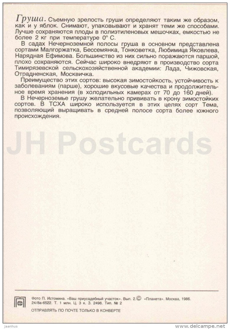 Pear - fruit and berry crops - garden - 1986 - Russia USSR - unused - JH Postcards