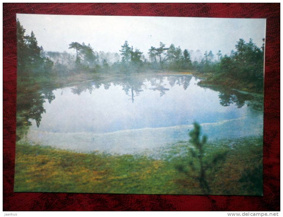 Lahemaa National Park - The fog at Laukasoo. Moor - Estonia - USSR - 1978 - unused - JH Postcards