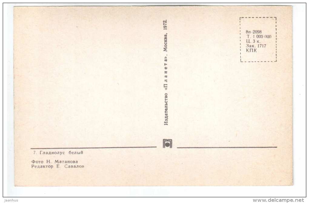 White Gladiolus - gladiolus - flowers - 1972 - Russia USSR - unused - JH Postcards