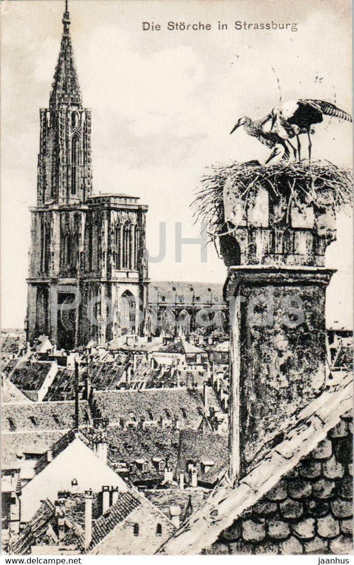 Strasbourg - Die Storche in Strassburg - birds - stork - old postcard - France - used - JH Postcards