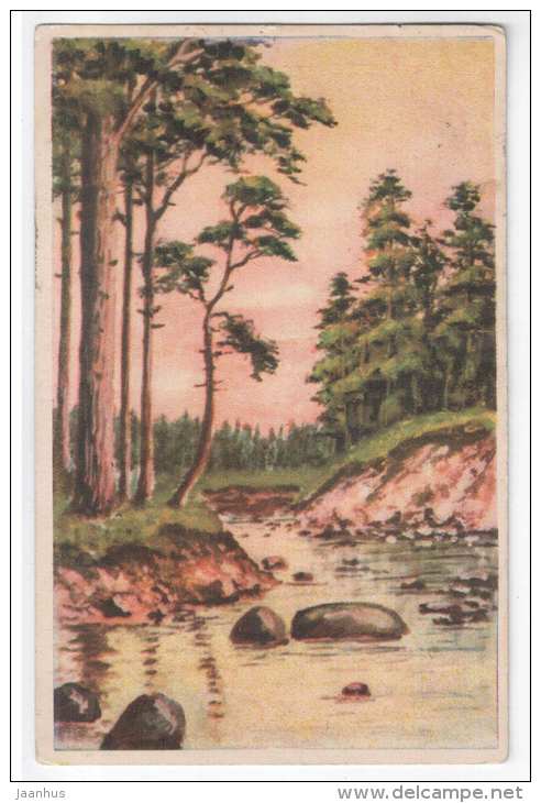 river pine forest - landscape - KJ Tartu - old postcard - circulated in Estonia 1928 , Rakvere - used - JH Postcards