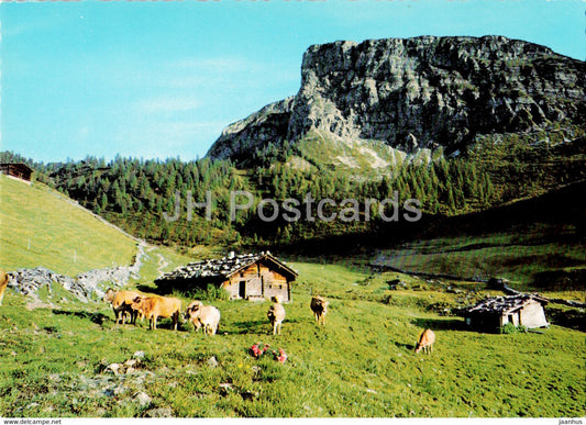 Gerlossteinalm 1650 m mit Gerlossteiwand 2166 m - Zell im Zillertal - Tirol - Austria - used - JH Postcards