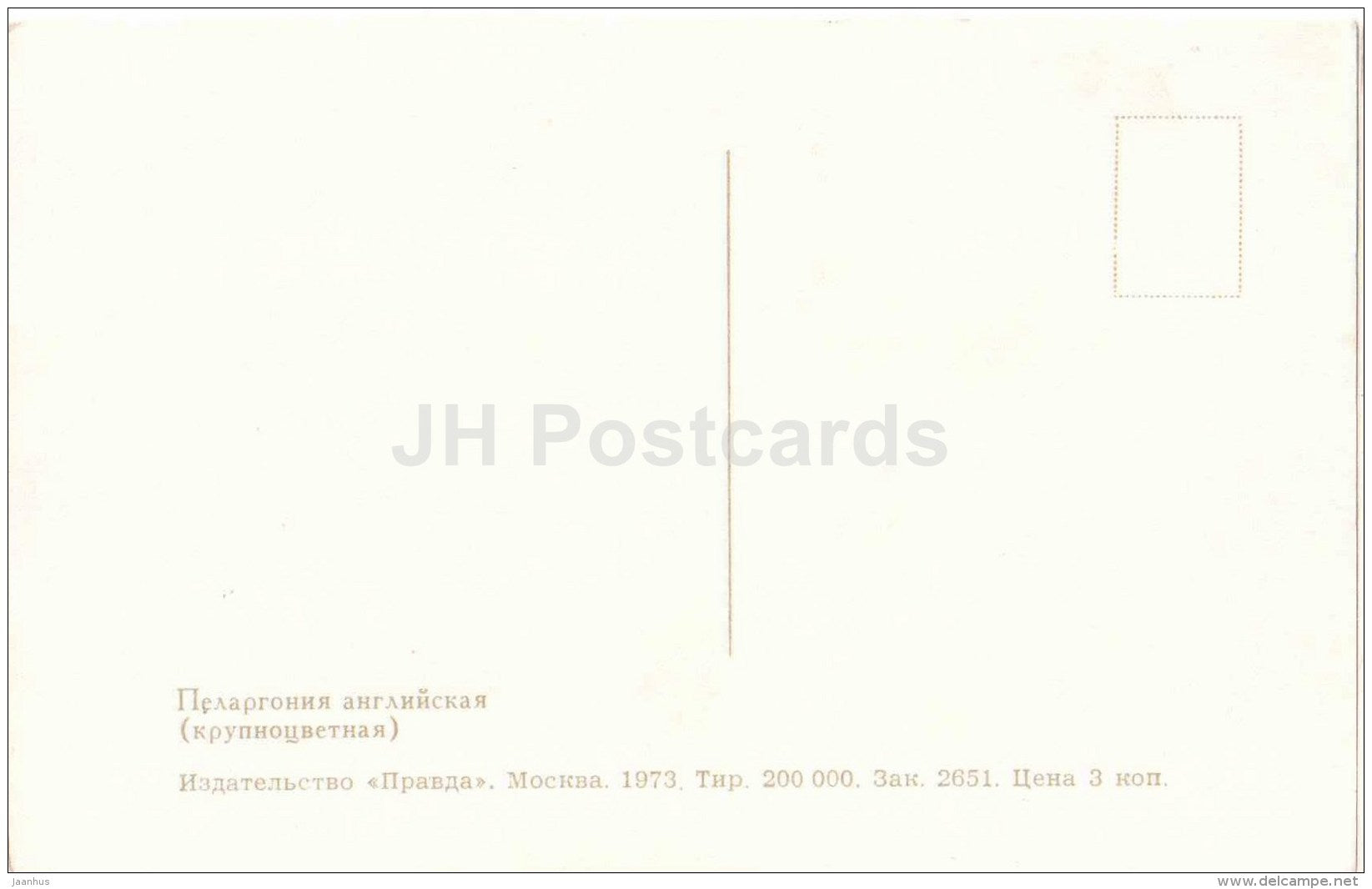 English Pelargonium - flowers - 1973 - Russia USSR - unused - JH Postcards