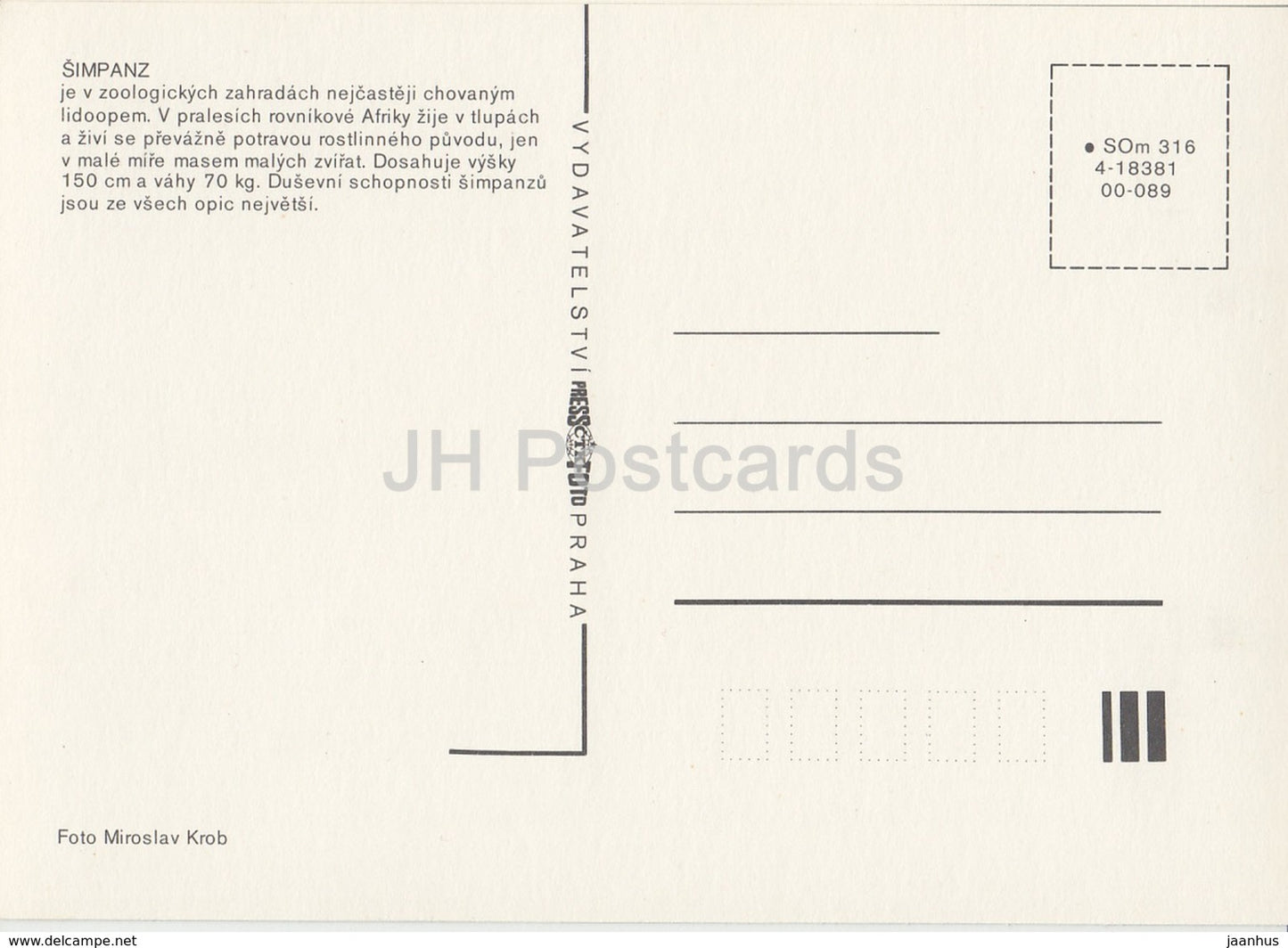 Chimpanzee - monkey - Zoo - Czechoslovakia - Czech Republic - unused