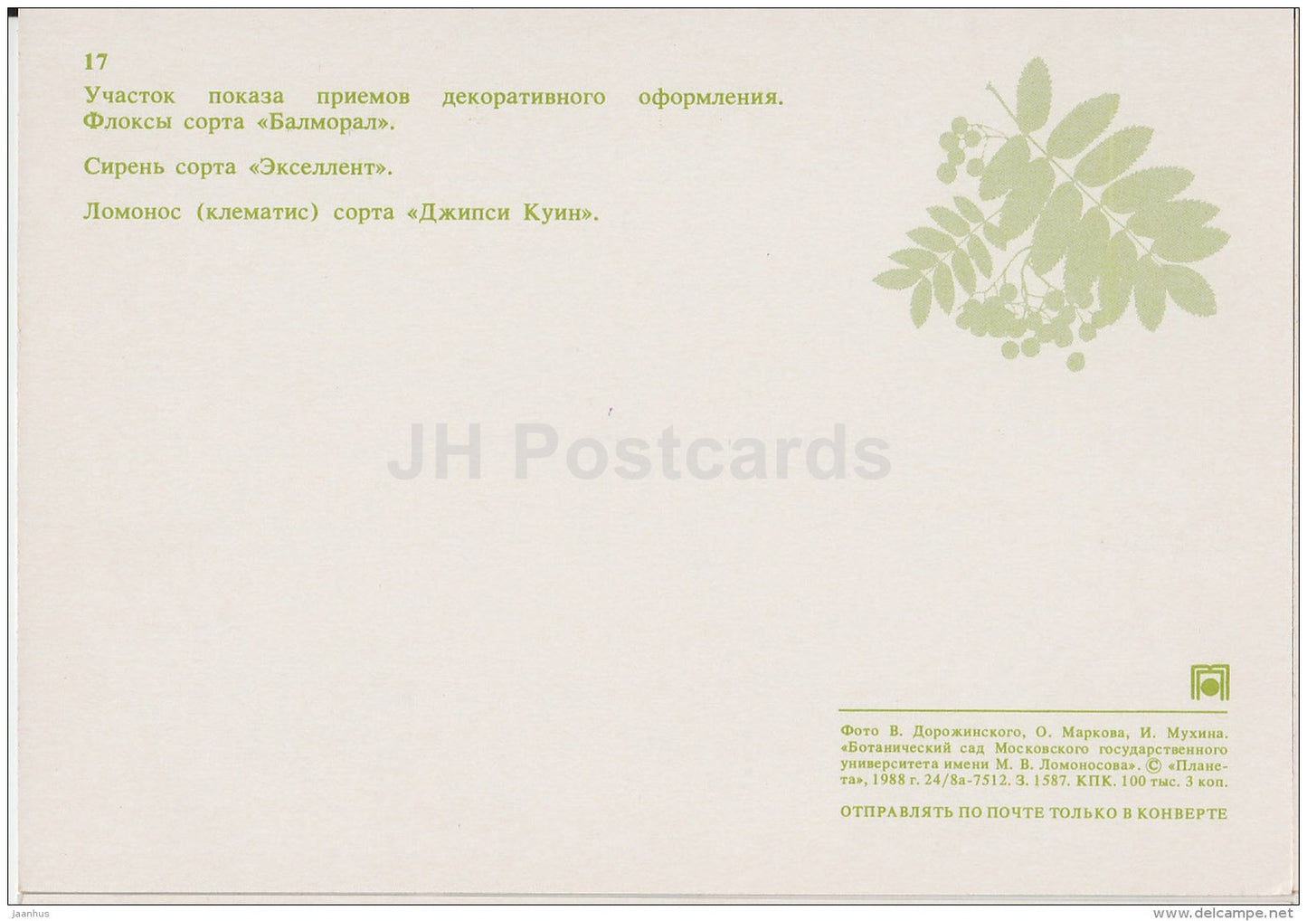 phlox Balmoral - lilac Excellent - clematis Gypsy Queen - Moscow Botanical Garden - 1988 - Russia USSR - unused - JH Postcards