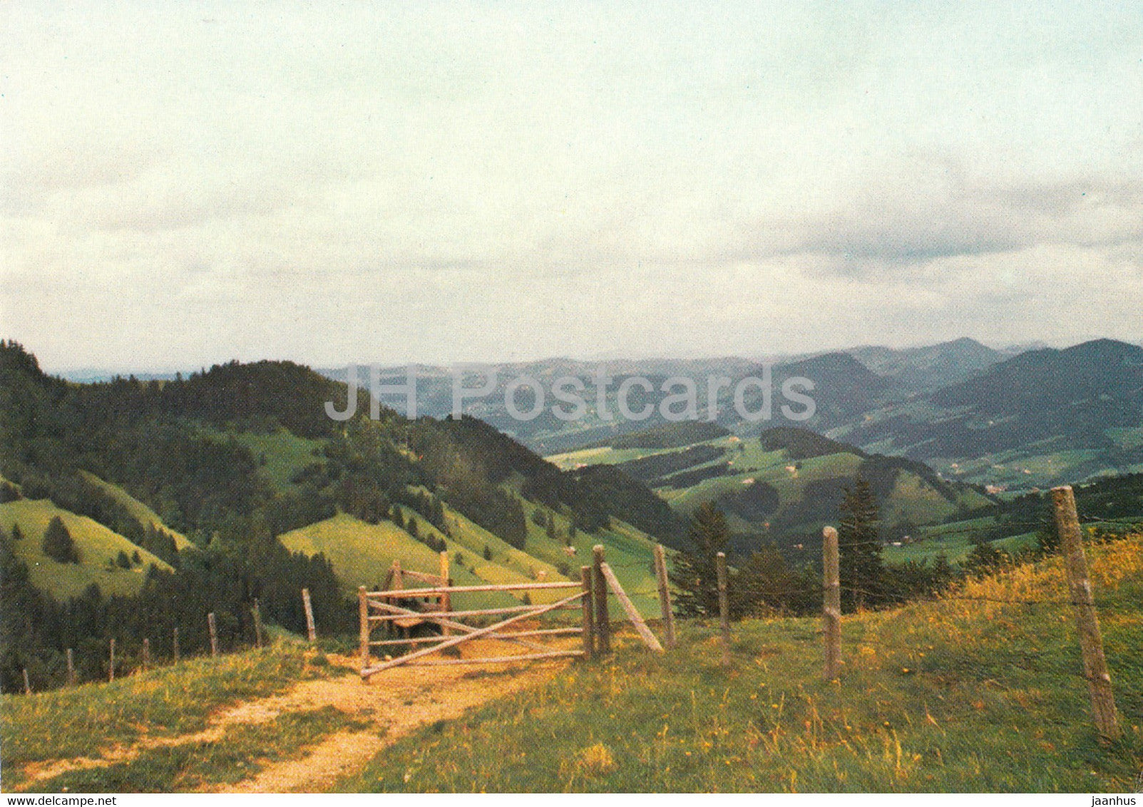 Das bewaldete Hugelgebiet zwischen Toggenburg und Zurcher Oberland - Switzerland - unused - JH Postcards