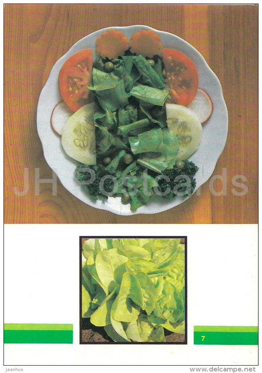 Green Salad - Vegetable Dishes - recipes - 1990 - Russia USSR - unused - JH Postcards