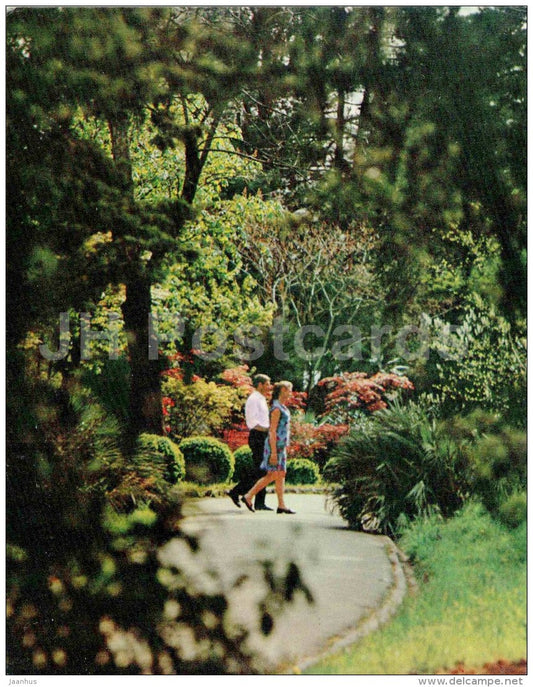 alley - Sochi Dendrarium - 1972 - Russia USSR - unused - JH Postcards