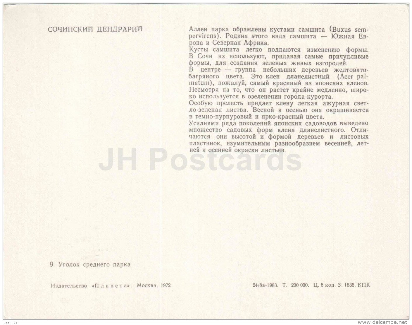 alley - Sochi Dendrarium - 1972 - Russia USSR - unused - JH Postcards