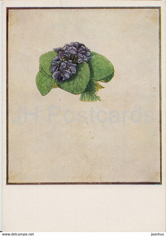 painting by Albrecht Durer - Veilchen Strausschen - Violet bouquet - flowers - German art - Germany - used - JH Postcards