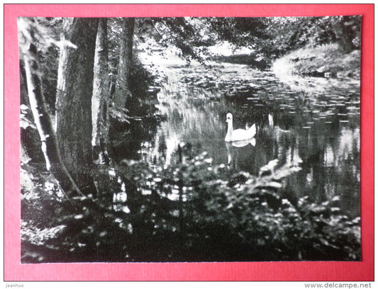 Park pond - Swan - Palanga - 1966 - Lithuania USSR - unused - JH Postcards