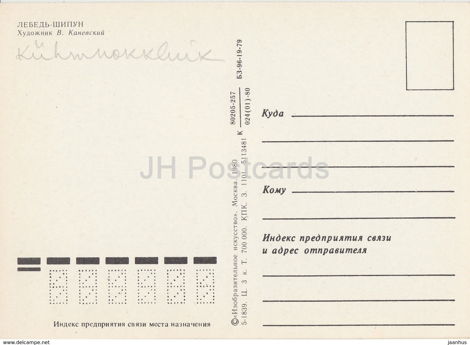 Mute Swan - Cygnus olor - birds - animals - illustration - 1980 - Russia USSR - unused - JH Postcards