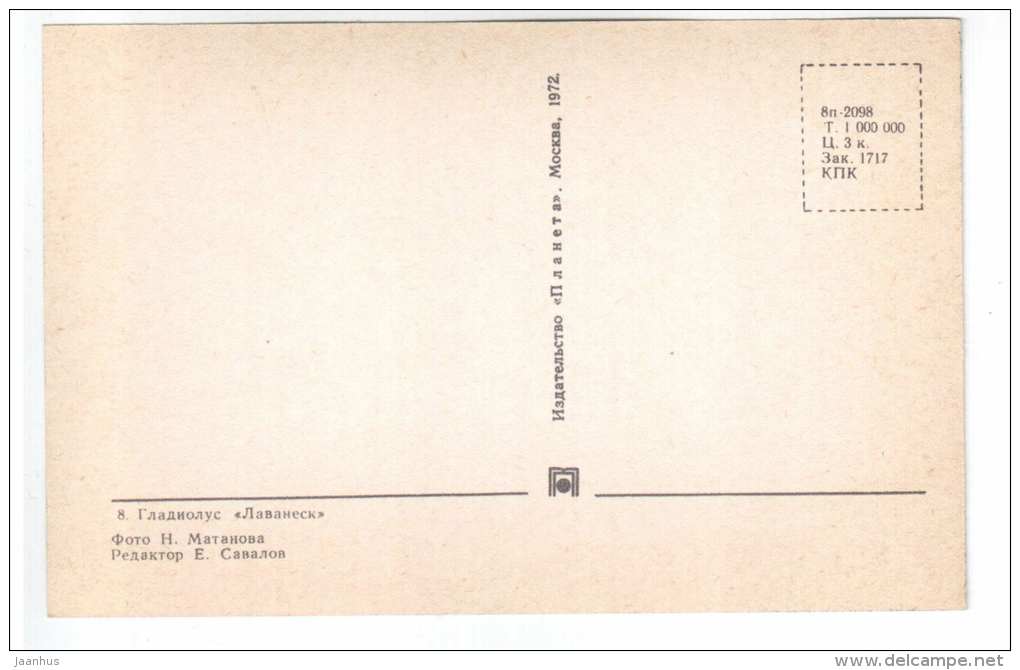 Lavanesque - gladiolus - flowers - 1972 - Russia USSR - unused - JH Postcards