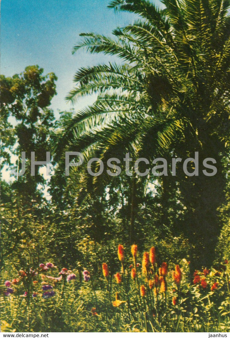 A View of the Batumi Botanical Gardens - Adjara - Georgia USSR -un used - JH Postcards