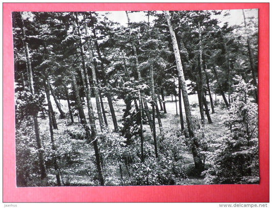 A view from the Birute Hill - Palanga - 1966 - Lithuania USSR - unused - JH Postcards